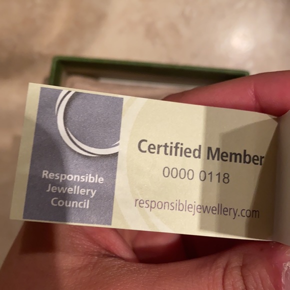 Authentic gucci earrings - Picture 5 of 5